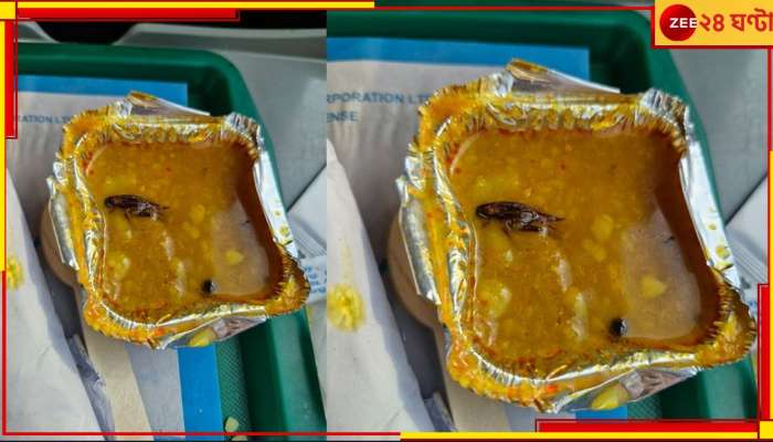 Cockroach in Vande Bharat Meal: দেখলেই গা গুলিয়ে ওঠে! বন্দে ভারতের খাবারের প্যাকেট খুলতেই মিলল মরা আরশোলা...