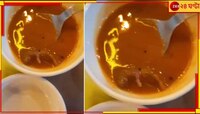 হার্সেস সিরাপের পর এবার জনপ্রিয় রেস্তরাঁয় সম্বরে মরা ইঁদুর!