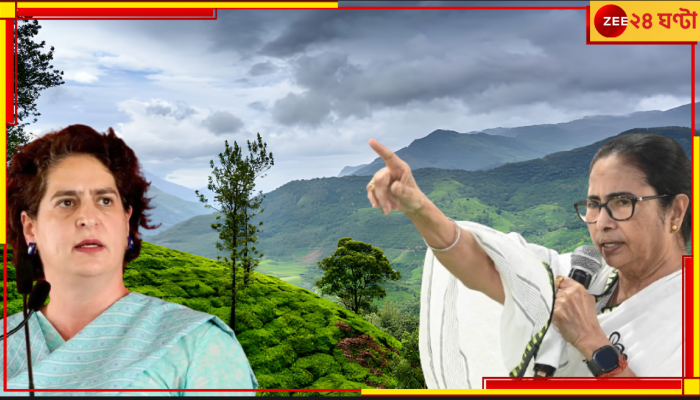 Mamata Banerjee-Priyanka Gandhi: প্রিয়াঙ্কা গান্ধীর হয়ে ভোটপ্রচারে বাংলার মুখ্যমন্ত্রী মমতা বন্দ্যোপাধ্যায় কেন?