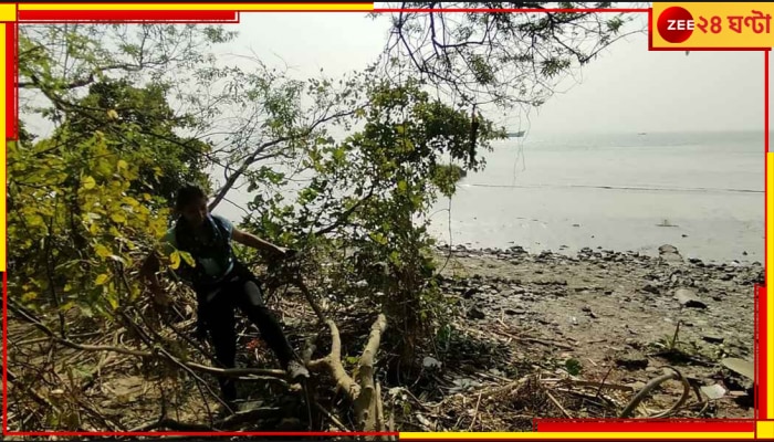 Diamond Harbour: নদীর চরের ম্যানগ্রোভ কেটে ফিশারি কেন? কার অনুমতিতে? বাধা দিলেন গ্রামবাসী...