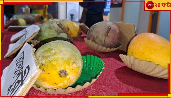 Mango Festival: হরেক কিসিমের আমের মেলা, আমের উৎসবে মজেছে আট থেকে আশি!