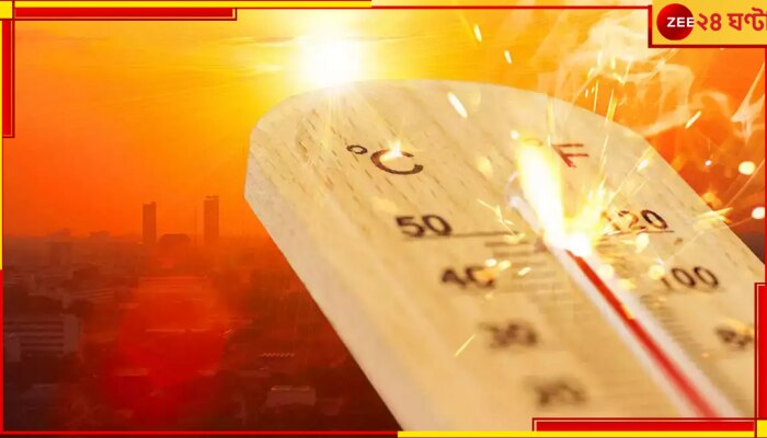 Pakistan Severe Heatwave: আতঙ্কের নাম হিটওয়েভ! অসহ্য গরমে ১ সপ্তাহেরও কম সময়ে প্রায় ৬০০ জনের মৃত্যু...