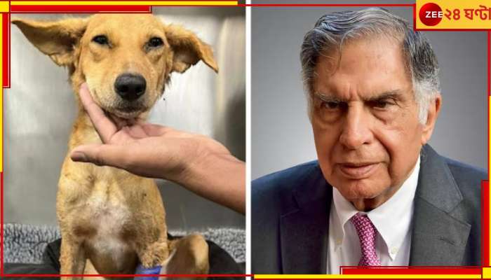 Ratan Tata: অসুস্থ পথকুকুরের জন্য হাতজোড় করে রক্ত চাইছেন রতন টাটা! আপনিও দেখুন প্লিজ...