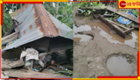 বৃষ্টিভেজা রাতে এলাকায় ধেয়ে এল ক্ষুধার্ত বুনো হাতি, তছনছ করল ঘরবাড়ি...