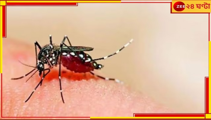 Dengue cases: বর্ষার শুরুতেই ডেঙ্গি দাপট, বাড়ছে আক্রান্ত, বৈঠকে প্রশাসন
