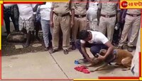খেলার অছিলায় ৮ বছরের শিশুকে গণধর্ষণ-খুন স্কুল-সিনিয়রদের! চিনিয়ে দিল স্নিফার ডগ...