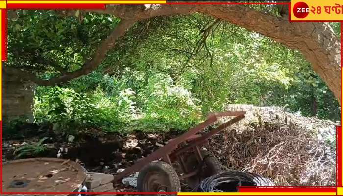 Jaynagar: বন্ধ ঘরে মোবাইলে বুঁদ, ইউটিউব দেখে শিখে 'কল্পনার অতীত' কাণ্ড ঘটাল ১৮-র তরুণ!