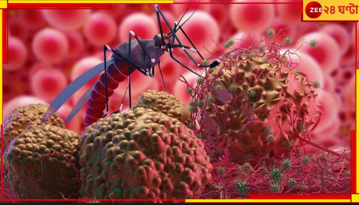 Chandipura Virus: প্রায় চার দশক পরে ফিরছে আতঙ্ক! ভারতে ছড়াতে শুরু করেছে মারণ এই ভাইরাস... Chandipura Virus: প্রায় চার দশক পরে ফিরছে আতঙ্ক! ভারতে ছড়াতে শুরু করেছে মারণ এই ভাইরাস...