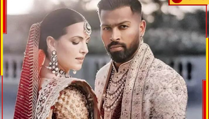 Hardik Pandya: '৪ বছর একসঙ্গে থাকার পর....', বিবাহবিচ্ছেদ ঘোষণা হার্দিক-নাতাশার!