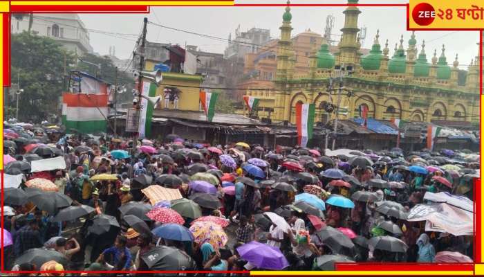 TMC 21 July Shahid Diwas: যেদিকে দুচোখ যায়...বৃষ্টিস্নাত একুশে শুধুই ছাতার থিকথিক ভিড়!