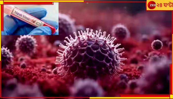 Nipah Virus: রাজ্যে আক্রান্ত ৪, ভয়ংকর ভাইরাসে মৃত্যু ১৪ বছরের বালকের