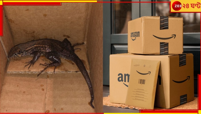 Amazon package: গোখরোর পর এবার আস্ত গিরগিটি! অ্যামাজন প্যাকেজে নতুন আতঙ্ক...