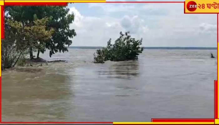 Malbazar: বাঁধ ভাঙলে তিস্তার গর্ভে কয়েকশো বিঘা ধানজমি, ক্ষতির মুখে কৃষকেরা...