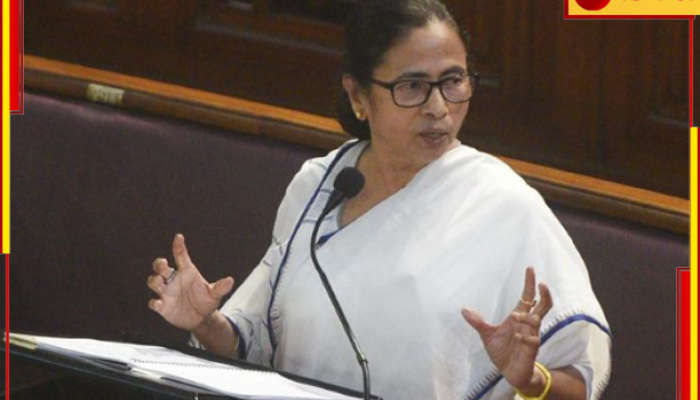 Mamata Banerjee: বিধানসভায় 'নীতি' বৈঠকে আঁচ! '৫ মিনিটের বেশি বলতে দেওয়া হয়নি', বললেন মমতা...