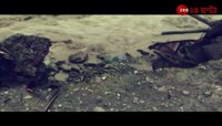 Natural Disasters| ওয়েনাড় থেকে হিমাচল, বেড়ে চলা প্রাকৃতিক বিপর্যয়ই কি দেশের ভবিষ্যৎ? | Zee 24 Ghanta