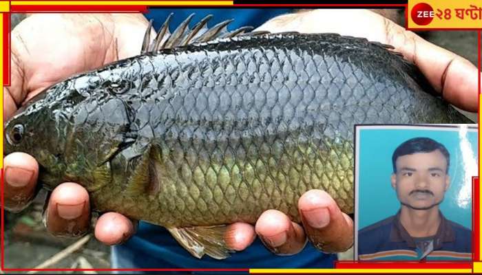 Koi Fish | Jamalpur Incident: জ্যান্ত কই গলায় আটকে মৃত্যু  যুবকের! শোনা হল না 'বাবা' ডাক...