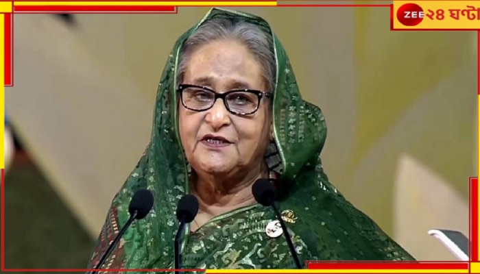 Sheikh Hasina Net Worth: ৫ বছরে সম্পত্তি বেড়েছে ৪ গুণ, কত কোটির মালিক শেখ হাসিনা?