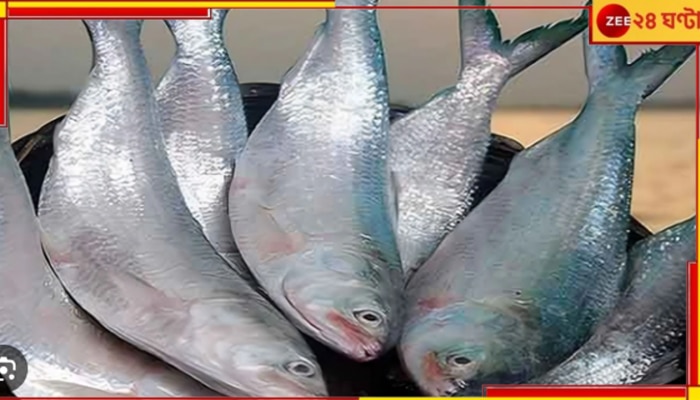 Bangladesh Protest | Hilsa: অশান্ত বাংলাদেশ! পুজোর আগে রাজ্যে আসবে তো ইলিশ? সংশয়ে ব্যবসায়ীরা..