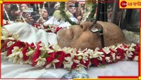 বিদায় পাম অ্যাভিনিউ!তেইশে শ্রাবণে রবীন্দ্রানুরাগী বুদ্ধের রাত্রিবাস পিস ওয়ার্ল্ডে...