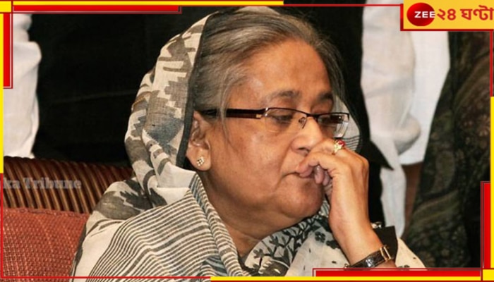 Sheikh Hasina: বিল মেটাতে কম পড়ল টাকা! ভারতে এসে কেনাকাটা করতে গিয়ে বিপাকে হাসিনা...