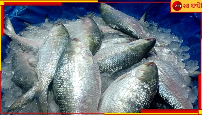 Bangladesh Hilsa: এবার পুজোয় পশ্চিমবঙ্গে কি ঢুকবে পদ্মার ইলিশ? জানিয়ে দিল বাংলাদেশ 