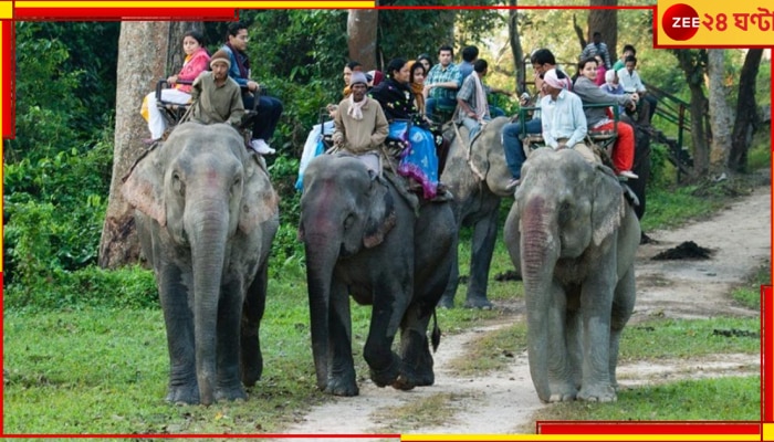 Jalpaiguri: পুজোর মরশুমে নতুন চমক! ডুয়ার্সের জঙ্গল ঘুরে দেখা যাবে হাতির পিঠে চেপেই...