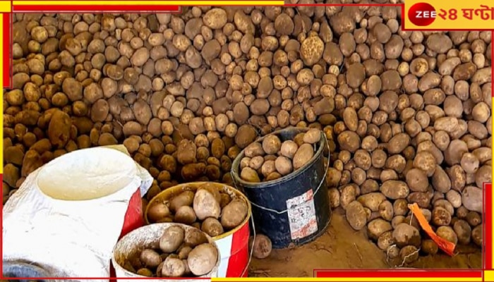 Potato Crisis: হু হু করে বাড়তে পারে আলুর দাম! এবার রাজ্য জুড়ে কর্মবিরতিতে আলু ব্যবসায়ীরা...