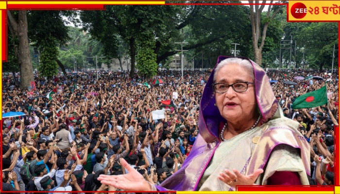 Bangladesh Protest: হাসিনার বিরুদ্ধে মাছব্যবসায়ীকে খুনের মামলা! জেনে নিন, হাসিনাকে নিয়ে অন্তর্বর্তী সরকার কী করতে চলেছে...