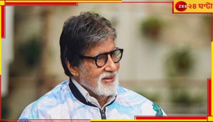 Amitabh Bachchan: টাকায় টাকা বাড়ে, এবার সুইগির মালিক হলেন অমিতাভ! 