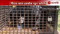 Kolkata Zoo Update | শীতের আগে চিড়িয়াখানায় একঝাক নতুন অতিথি | Zee 24 Ghanta