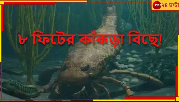 8 feet Scorpion: পূর্ণবয়স্ক মানুষের চেয়েও লম্বা! ৮ ফিটের এই কাঁকড়া বিছে সাক্ষাত্‍ দৈত্য-দানব...