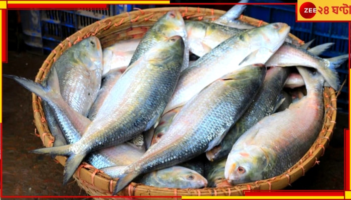 Bangladeshi Hilsa: পুজোয় কি বাঙালির পাতে পড়বে পদ্মার ইলিশ? সিদ্ধান্ত জানিয়ে দিল বাংলাদেশ সরকার