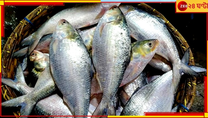 Hilsa| Bangladesh: রফতানি বন্ধ, বাংলাদেশে হু হু করে কমল ইলিশের দাম