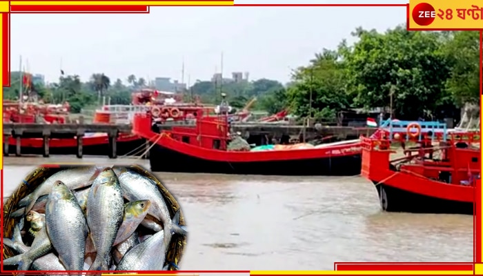 Hilsa: বাধ সেধেছে আবহাওয়া, রান্নাপুজোতেও বাঙালির পাতে পড়বে না ইলিশ!