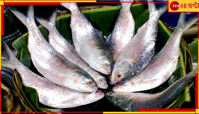 Bangladeshi Hilsa: পুজোয় কি আদৌ পাতে পড়বে পদ্মার ইলিশ! তৈরি হয়ে গেল আইনি জট