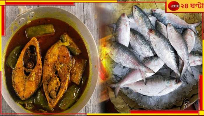 Bangladesh Ilish: পুজোর বেশ আগেই সুখবর! বৃহস্পতিবার সকালে বাজারে গেলেই পাবেন পদ্মার ইলিশ... 