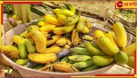 পাকা কলার ঝুড়িতে ৬৫ কোটির চাষ, কোকেন কেনার হিড়িকে ফিরছে ভাগ্য!