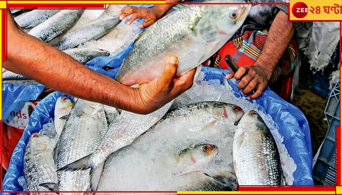 Hilsa| Bangladesh: ভারতকে ৩ হাজার টন ইলিশ নয়, রফতানির পরিমাণ কমিয়ে দিল বাংলাদেশ