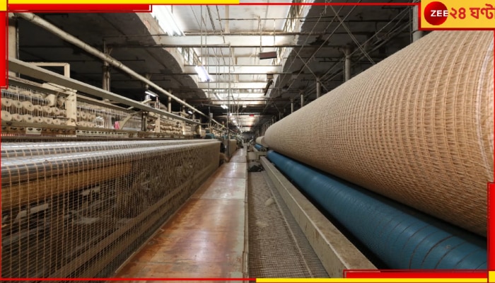 Ludlow Jute Company: বন্ধ হয়ে গেল চেঙ্গাইলের শতবর্ষপ্রাচীন লাডলো জুট মিল! পুজোর মুখেই অন্ধকার ঘরে-ঘরে...