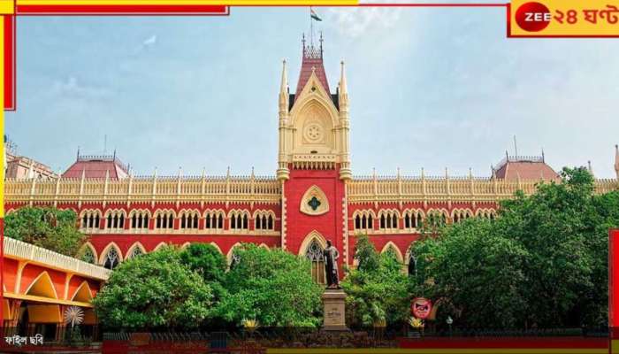 Durga Puja 2024 | Calcutta High Court: পুজোয় শহরের ১৪৪ ধারা! পুলিসের নির্দেশ নিয়ে বড় আপডেট হাইকোর্টে... 