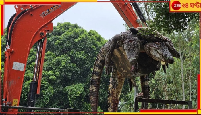 Typhoon Yagi | Thailand Crocodiles: একাই শেষ করলেন ১২৫টি কুমিরকে! &#039;জীবনের কঠিন সিদ্ধান্ত&#039; বললেন হত্যাকারী...