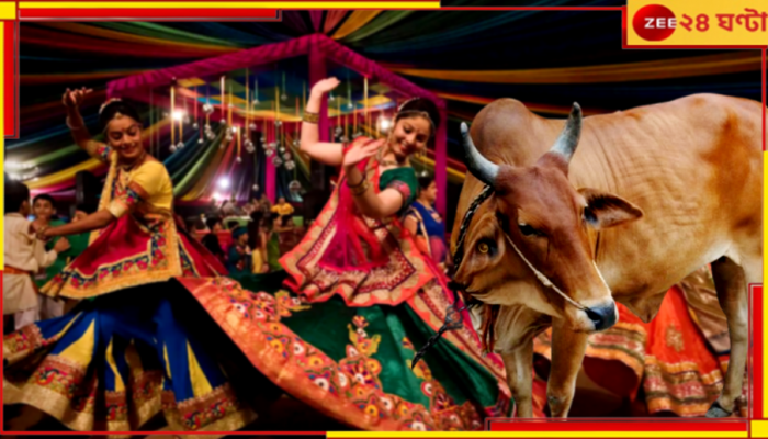 Garba Entry Controversy: এ আবার কী? নবরাত্রিতে গরবা নাচতে গেলে গোমূত্র পান করতেই হবে! 