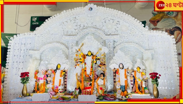 Durga puja in US: পরবাসে পুজোর ফুলও যেন তিলোত্তমার বিচারের অপেক্ষায়