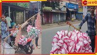 লক্ষ্মী পুজোয় লক্ষ্মী লাভের আশায় শোলার কদম ফুল বিক্রি! পরিশ্রমের দাম মেলে? 