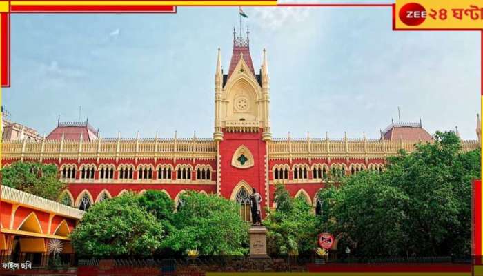 Droho Carnival| Calcutta High Court: ডাক্তারদের দ্রোহ কার্নিভালে অনুমতি হাইকোর্টের!