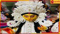 বন্যা থেকে বাঁচতে একদা ধনদেবীর শরণ নিয়েছিল 'মা লক্ষ্মীর গ্রাম' খালনা...