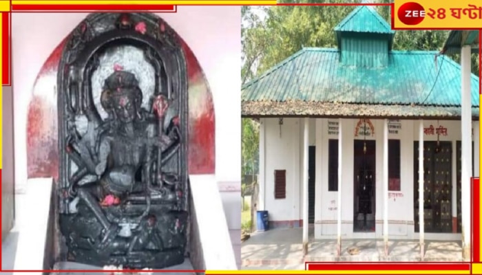 Petkati Maa Mandir: জঙ্গলে হাত-নাক ভাঙা মূর্তি! গায়ে কাঁটা দেওয়া পেটকাটি মা, মন্দিরে পা রাখলেই...