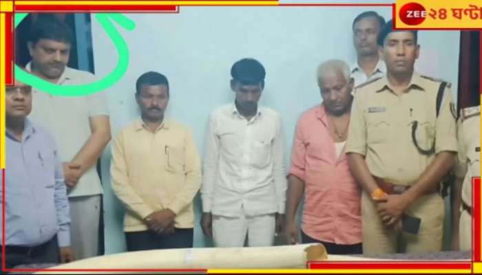 TMC Leader Arrest: হাতির দাঁত পাচারে 'তূণমূল যোগ'! বিহারে গ্রেফতার বাংলার নেতা...