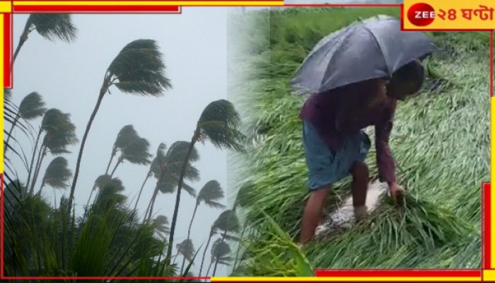 Cyclone Dana Update: ডানার তাণ্ডবে তছনছ ধান চাষ! বাড়তে চলেছে চালের দাম?