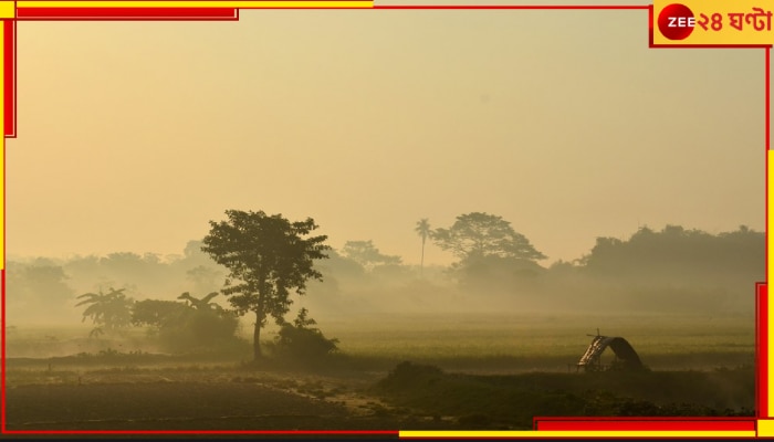 Bengal Weather Update: এবার শুরু শুষ্ক আবহাওয়ার দিন! জেনে নিন পাকাপাকি ভাবে কবে থেকে পড়ছে শীত...